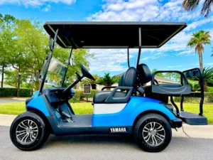 2014 Yamaha Drive G29 Golf Cart for Sale17 (14)