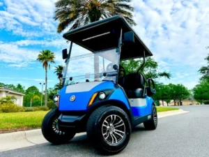 2014 Yamaha Drive G29 Golf Cart for Sale17 (5)