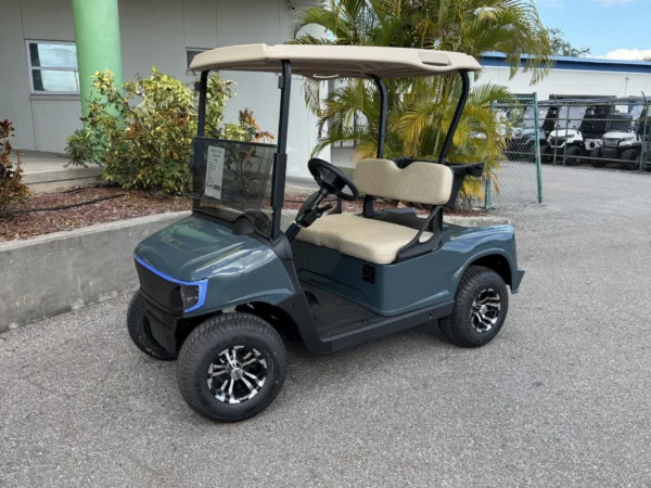2020 E-Z-GO Freedom RXV Elite APEX Lithium 2 Passenger Golf Cart (Storm Blue) at Oxford Golf Cars