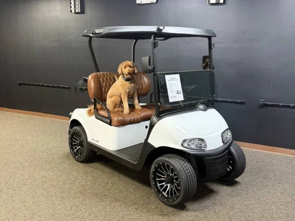 2020 E-Z-GO Freedom RXV Elite Lithium 2 Passenger Golf Cart (White) at Oxford Golf Cars