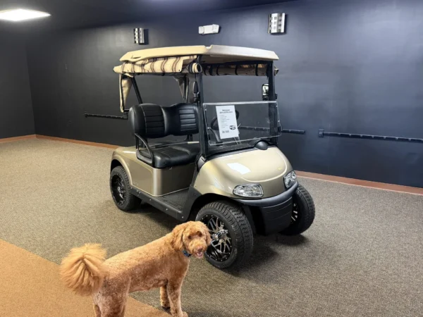 2020 E-Z-GO Freedom RXV Elite Lithium 2 Passenger Golf Cart (Almond, Rain Enclosure) at Oxford Golf Cars