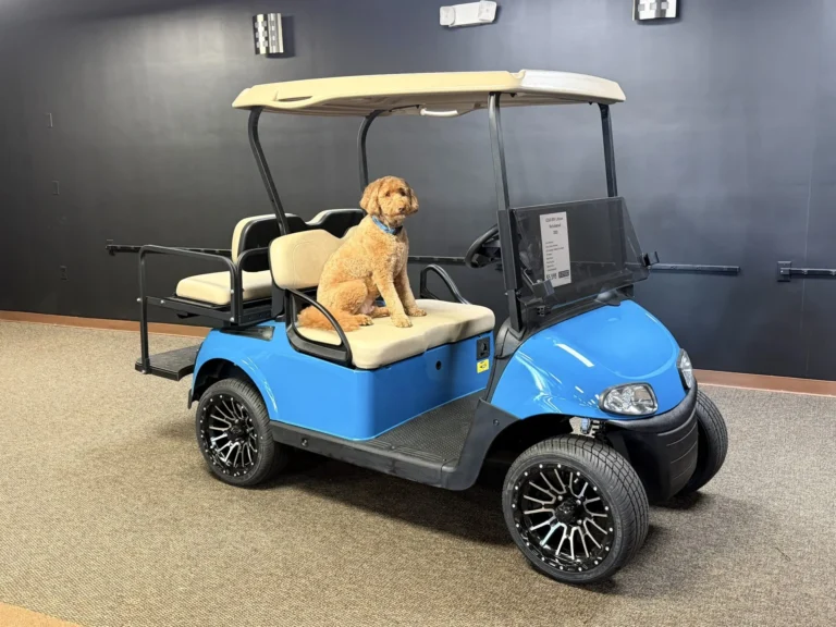 2020 E-Z-GO Freedom RXV Elite Lithium 4 Passenger Golf Cart (Blue, Beige Seats) at Oxford Golf Cars