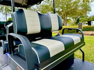 2024 Evolution Forester 4 Plus Golf Cart for Sale (2)