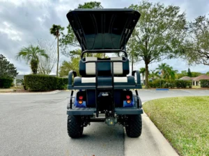 2024 Evolution Forester 4 Plus Golf Cart for Sale (6)