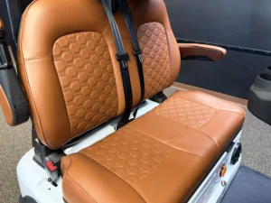 2026 PDG Greyson Golf Cart for Sale227 (3)