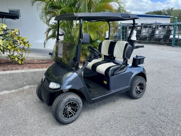 2019 E-Z-GO Freedom RXV Elite Lithium 2 Passenger Golf Cart (Steel Blue) at Oxford Golf Cars